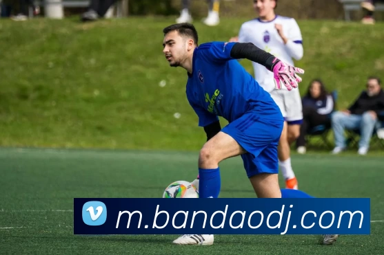 App Interface Preview