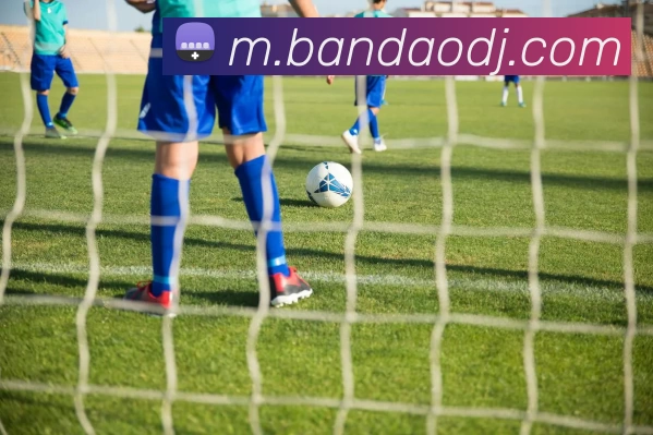 半岛电竞APP 封面图